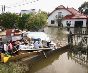 W zalanych domach rozwiną się niebezpieczne grzyby. Czym to grozi? 