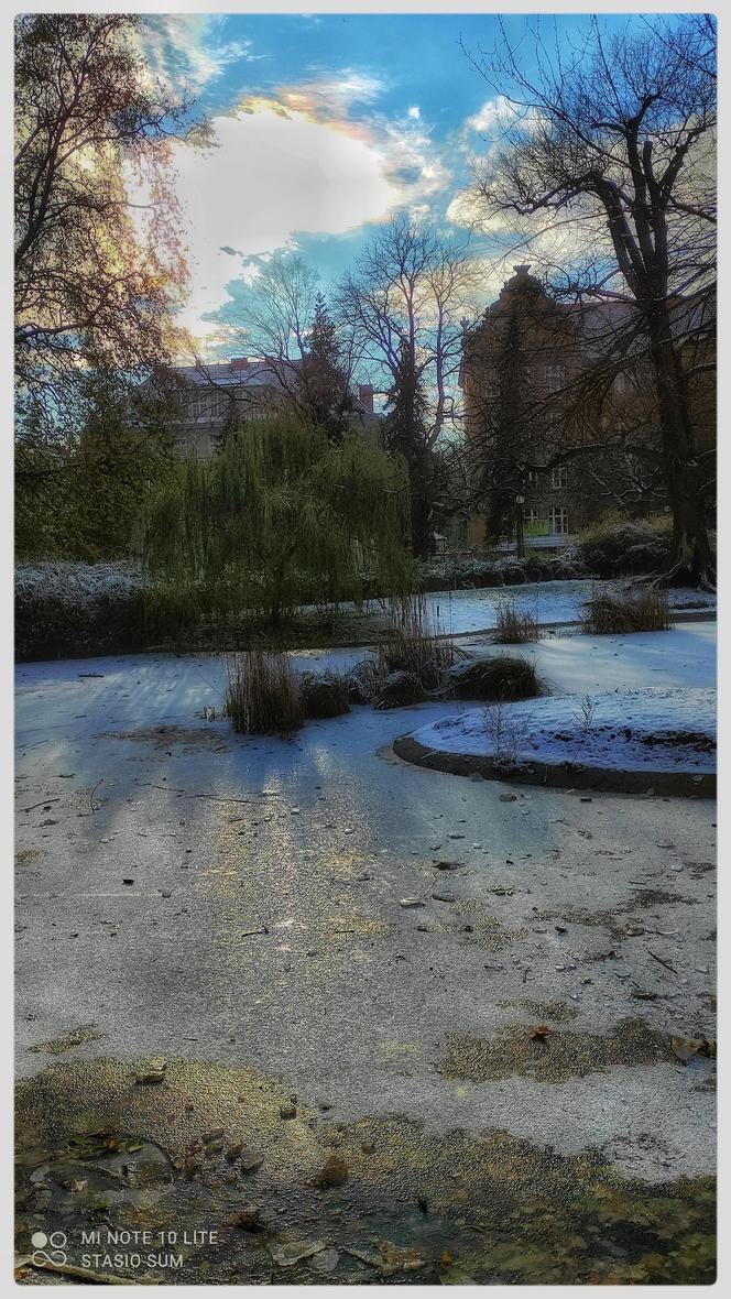Wyjątkowa zimowa aura w Parku Wilsona w Poznaniu