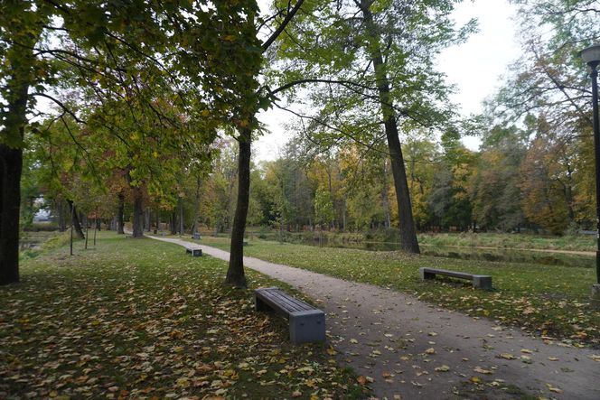 Park Lubomirskich w Białymstoku jesienią 