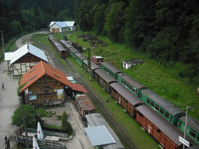 Bieszczadzka Kolejka Leśna 