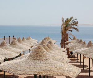 Piękna posłanka pojechała na wakacje z bliskim współpracownikiem Andrzeja Leppera! Pikantne zdjęcia!