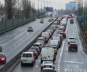Tyle samochodów elektrycznych ma być w Polsce za 6 lat. Wyliczenia Ministerstwa Klimatu i Środowiska 
