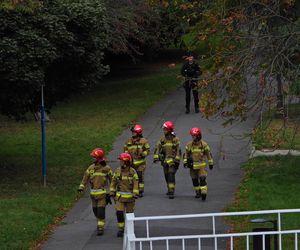 Pilna akcja służb przy Senacie. Na trawniku leżał „bezzałogowy statek powietrzny”