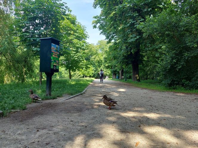 Park Miejski w Zamościu
