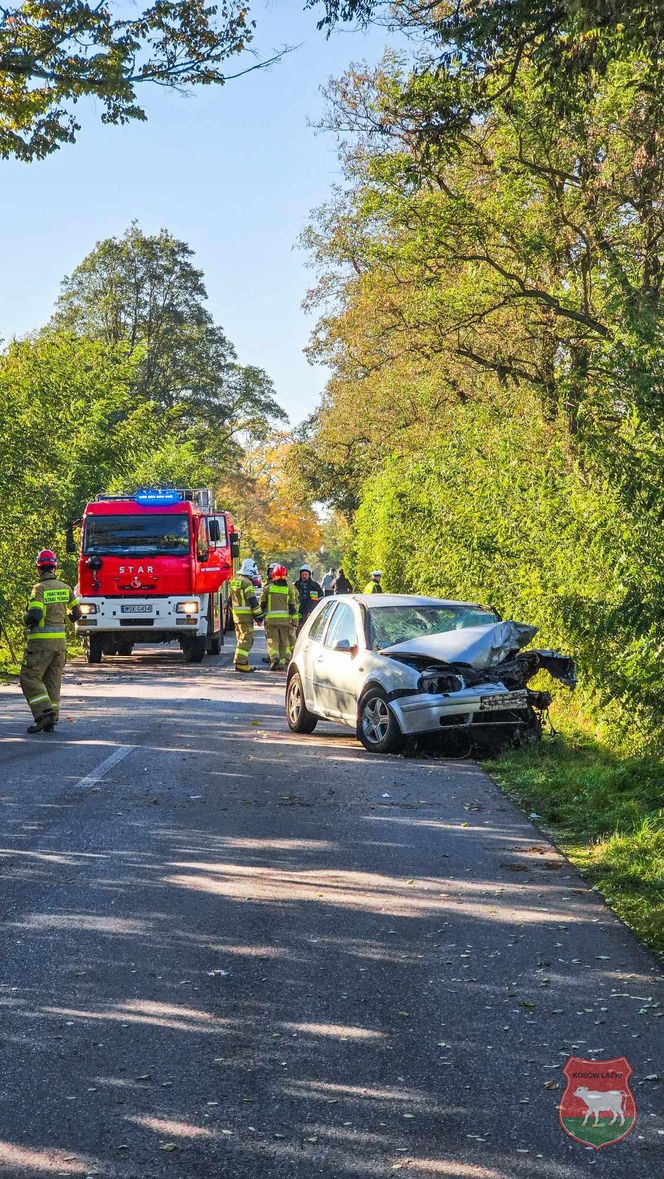 Wypadek na trasie Węgrów - Kosów Lacki