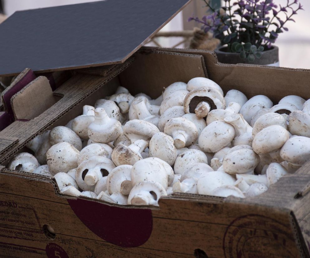 Co wspólnego mają pieczarki i rak prostaty? Naukowcy wyjaśniają