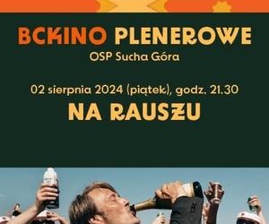 Kino plenerowe w Bytomiu. Wkrótce ruszy cykl letnich seansów. Na początek francuska komedia 