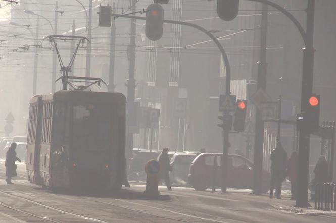 Smog czy mgła? Jak to rozpoznać?