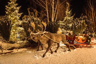 Wioska Świętego Mikołaja w Bałtowie