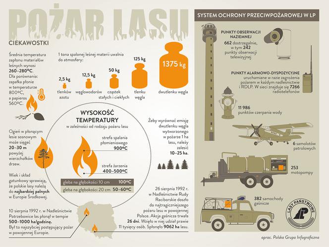 Pożar lasy - infografika
