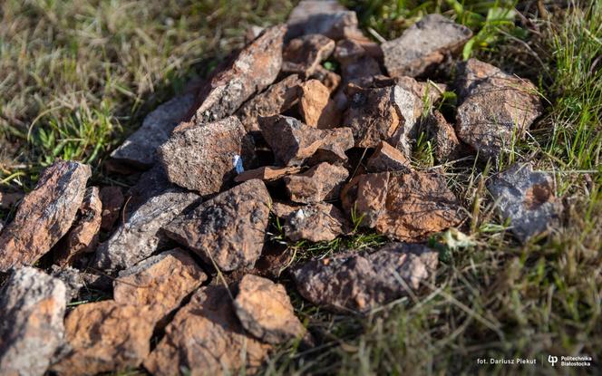 Katakumby w Supraślu. Akcja ratowania podlaskiego zabytku. Pomagają studenci PB i UwB [ZDJĘCIA]