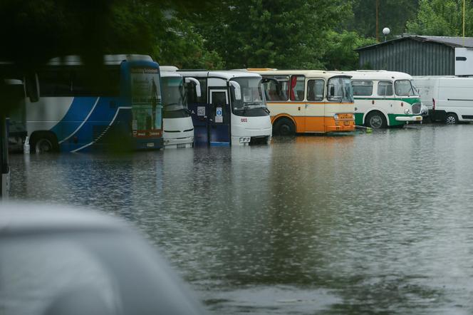 Burze i ulewy w całej Polsce! Tam było najgorzej. Drzewo runęło na autobus!