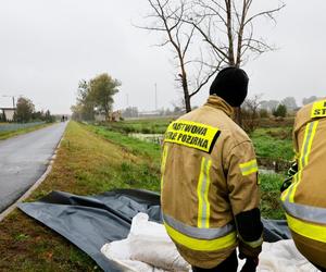 W Wielkopolsce strażacy interweniowali już ponad 20 razy