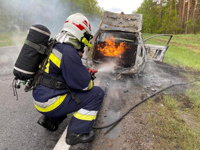 Kujawsko-pomorskie: Pożar samochodu na DK 10. Pojazd słonął doszczętnie! [ZDJĘCIA] 