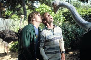 Stary, gdzie moja bryka 