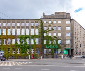 Warszawska Szkoła Pielęgniarstwa i Romuald Gutt