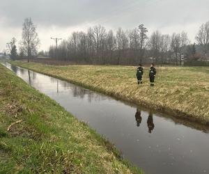 Tragiczny finał poszukiwań. Zwłoki dryfowały w rzece. Wyszedł z domu i wpadł do Barcówki?