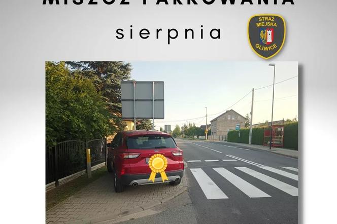 Miszczowie parkowania w Gliwicach 