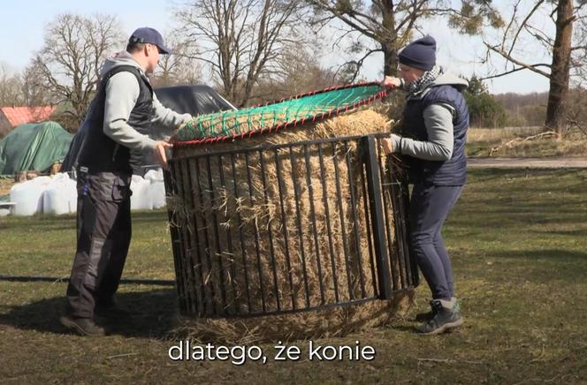 Rolnicy. Podlasie. Jak żyje i pracuje Emilia Korolczuk? Unikalna relacja z Rancza Laszki