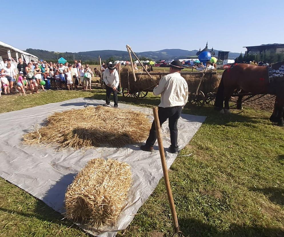 Ruszyła Agropromocja. W ten weekend warto wybrać się do Starego Sącza