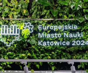 Katowice. W rankingu Buisness Insider Katowice wiodą prym wśród polskich miast najbardziej przyjaznych studentom 