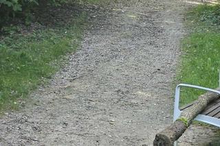 Zdewastowany Park Reduta w Krakowie