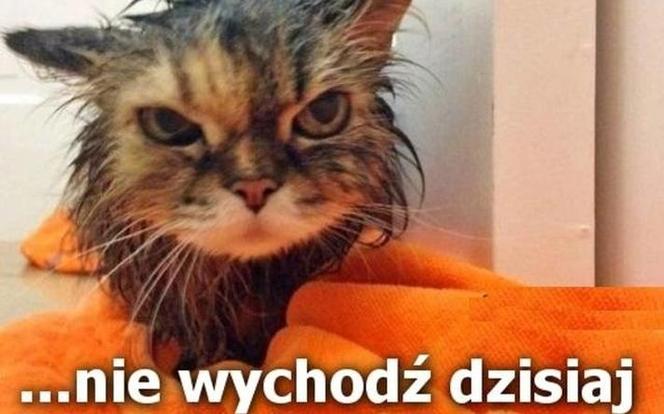 Ten poniedziałek będzie mokry! Najlepsze MEMY na śmigus-dyngus!
