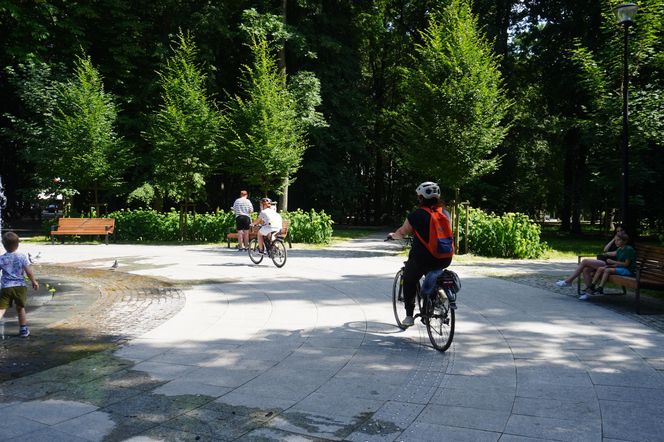 Park Miejski w Sandomierzu