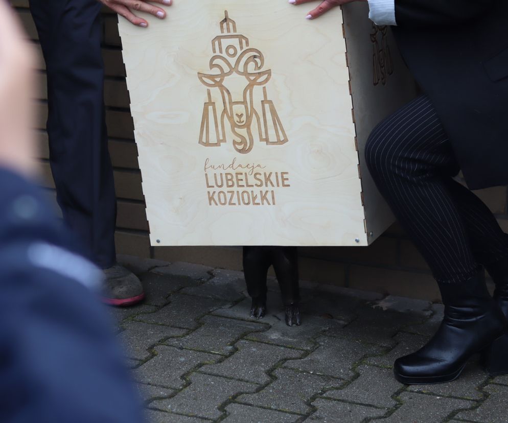 Lublin z kolejnym koziołkiem! 