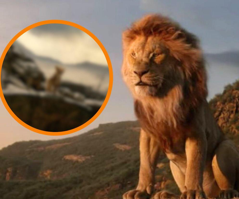 Mufasa powraca! Jest pierwsza zapowiedź prequela “Króla lwa