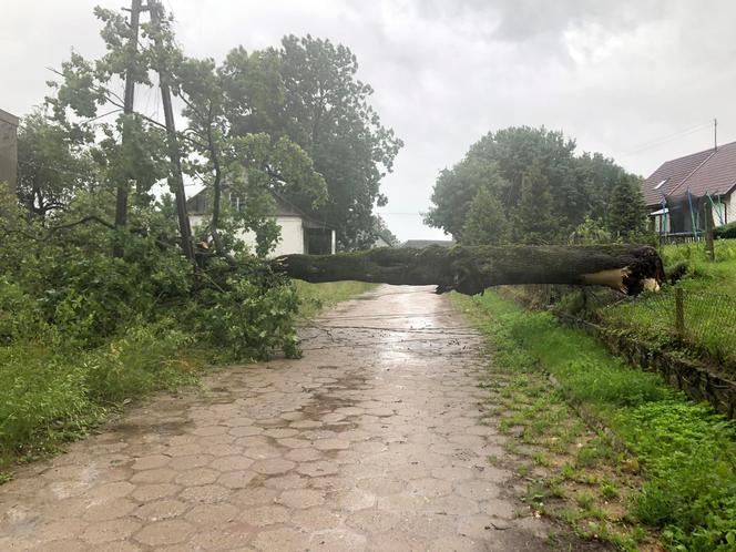 Wichura i ulewy w Podlaskiem. 15 tys. odbiorców bez prądu [ZDJĘCIA]