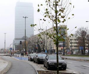 Zabrali miejsca parkingowe i zwęzili ulicę by zrobić ścieżkę rowerową. Biorą się za kolejne ulice