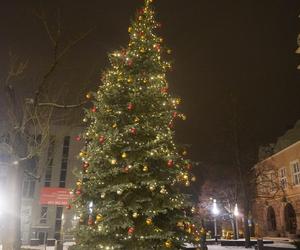 Świąteczne iluminacje w Olsztynie zachwycają. Prawdziwą „gwiazdą” jest choinka na starówce [ZDJĘCIA]