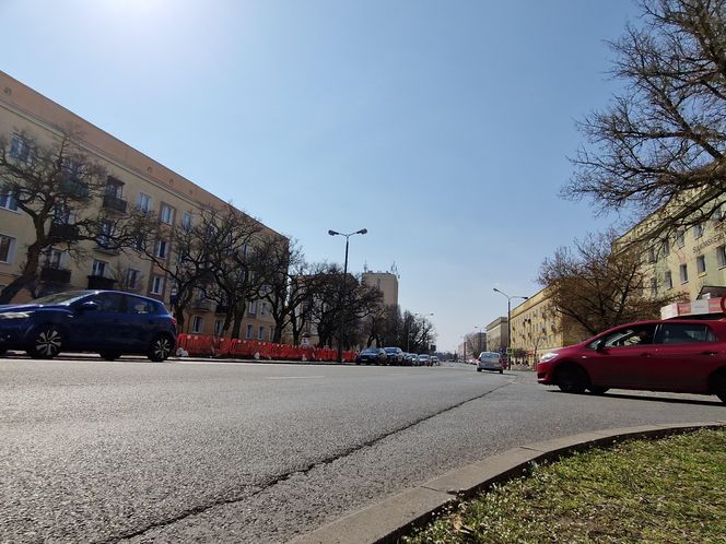 Historia wśród drzew! Tak żyje się na osiedlu Leśnym w Bydgoszczy