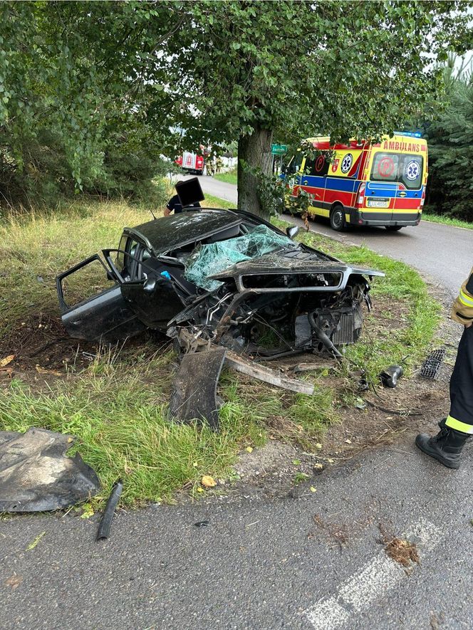 Powiat łukowski: Audi roztrzaskało się na drzewie