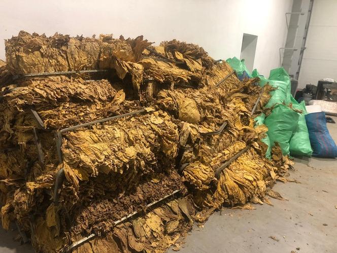 Setki kilogramów nielegalnego tytoniu. Krakowscy policjanci zatrzymali przestępców