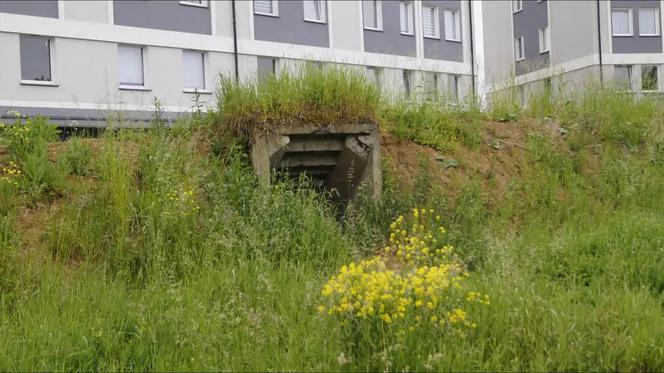 Zagadkowy i niebezpieczny podziemny labirynt w północnej części Szczecina. Lepiej nie zwiedzać go na własną rękę [ZDJĘCIA, WIDEO]
