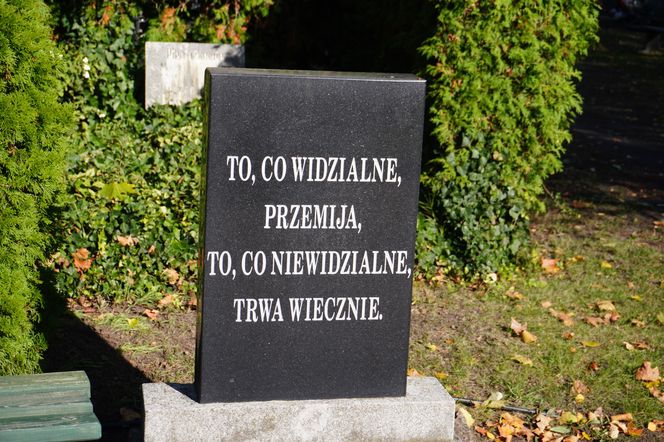 Cmentarz przy ul. Bluszczowej na Wildzie 2 tygodnie przed 1 listopada