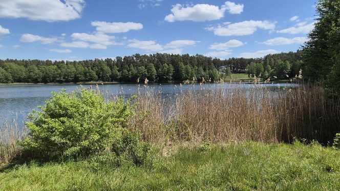 To jezioro w Olsztynie ma niezwykle czystą wodę. Jest kilka dzikich plaż, które świecą pustkami