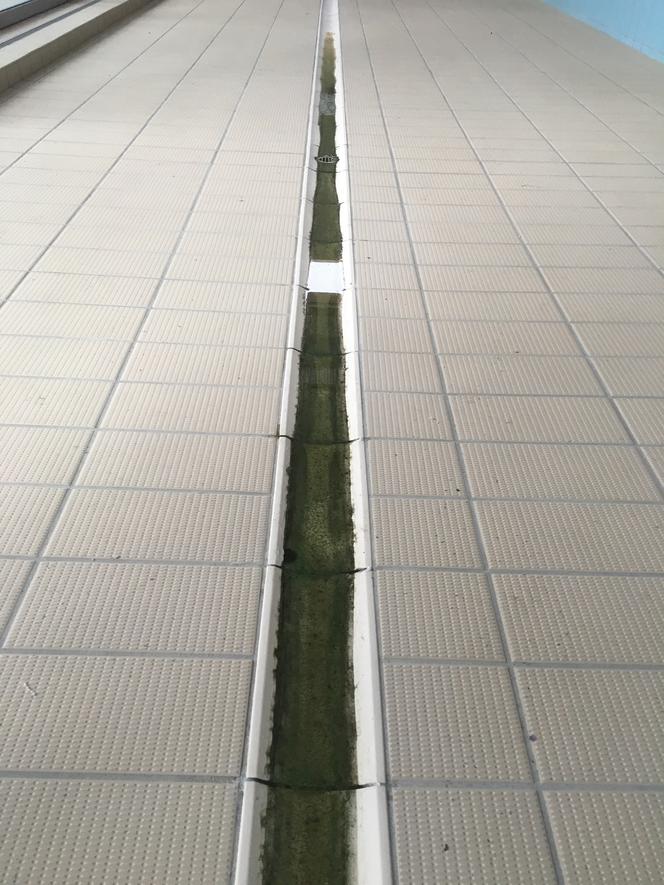 Basen przy ul. Niegocińskiej