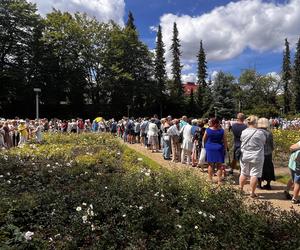 Kolejka tort urodziny Szczecina 