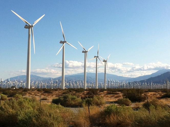Posłowie stworzyli własny projekt ustawy o OZE. Jakie zmiany planują wprowadzić?