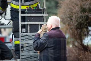 Kot fajtłapa wezwał strażaków.