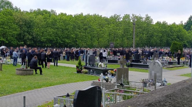 Rąbnęli w łosia, osierocili synka