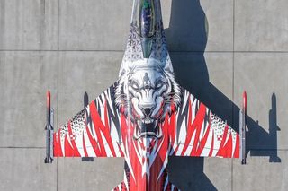 Tygrys na skrzydłach polskiego F-16. Niezwykłe malowanie myśliwca z Krzesin