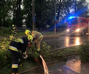 Burze i nawałnice nad Podkarpaciem. Strażacy interweniowali prawie 500 razy [ZDJĘCIA]