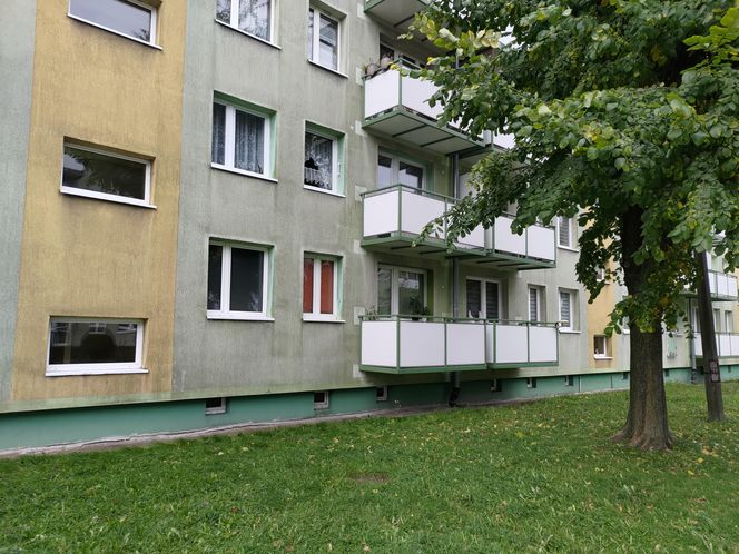 Zabiła matkę, dźgała nożem ojczyma