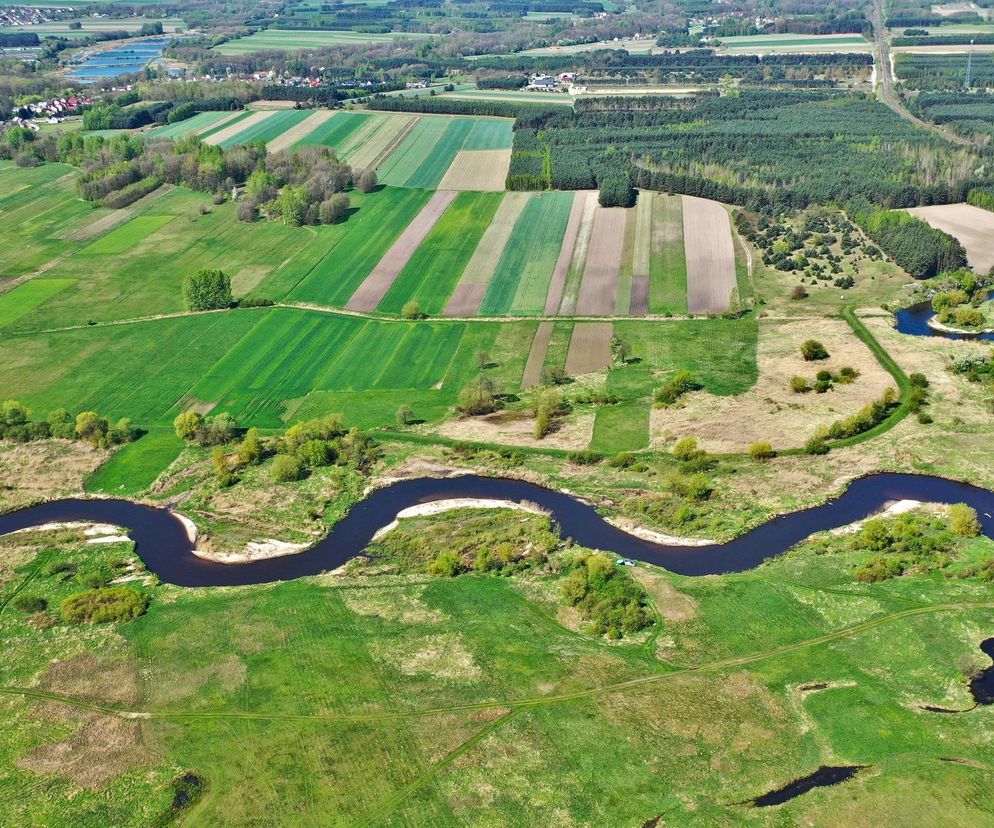 Cała Polska na kajaki także w regionie! Posprzątają Nidę