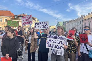 „Ostatni protest” nie pomógł. Radni rozstrzygnęli los Górek Czechowskich