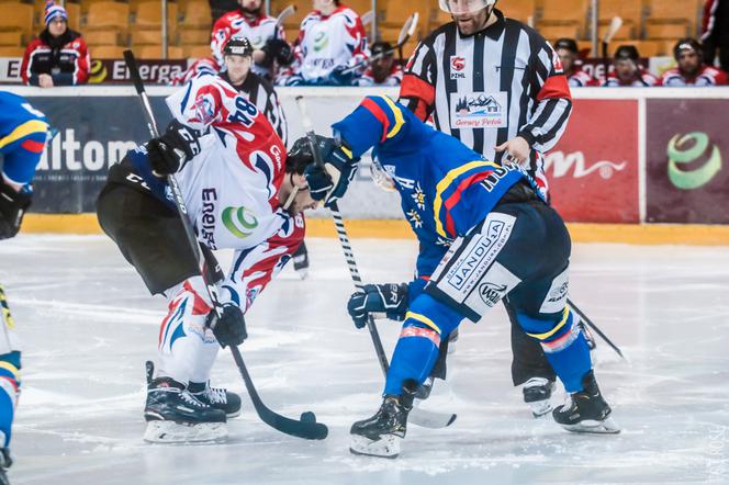 KH Energa Toruń - Podhale Nowy Targ 3:2 - zdjęcia z meczu